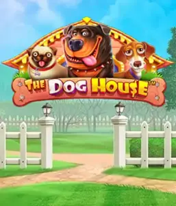 From Pragmatic Play comes The Dog House Slot, bringing you an adorable journey among playful pups. Discover gameplay elements including free spins, aimed at delivering exciting wins. Perfect for pet lovers a lighthearted theme and the opportunity to win big.